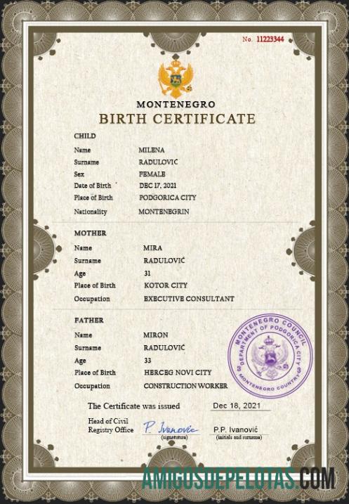 Realista modelo PSD de certidão de nascimento de registro vital de Montenegro